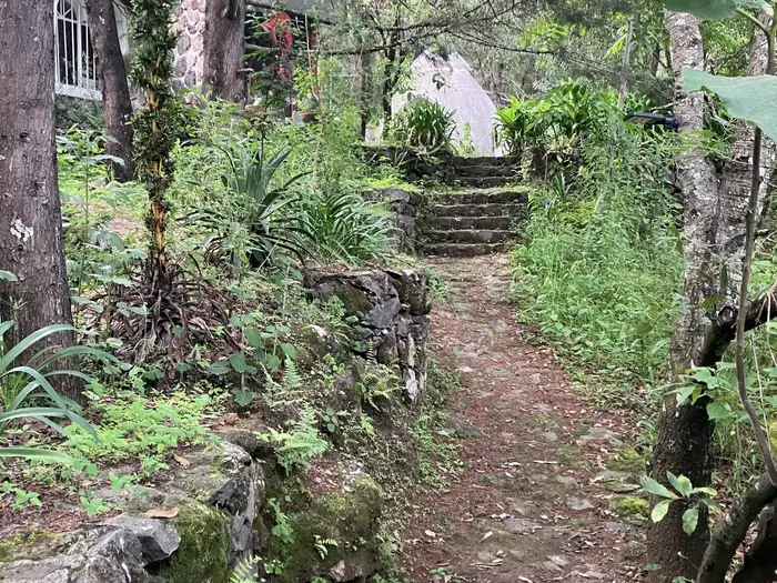 A path of packed earth climbing between planted terraces and stone edging.